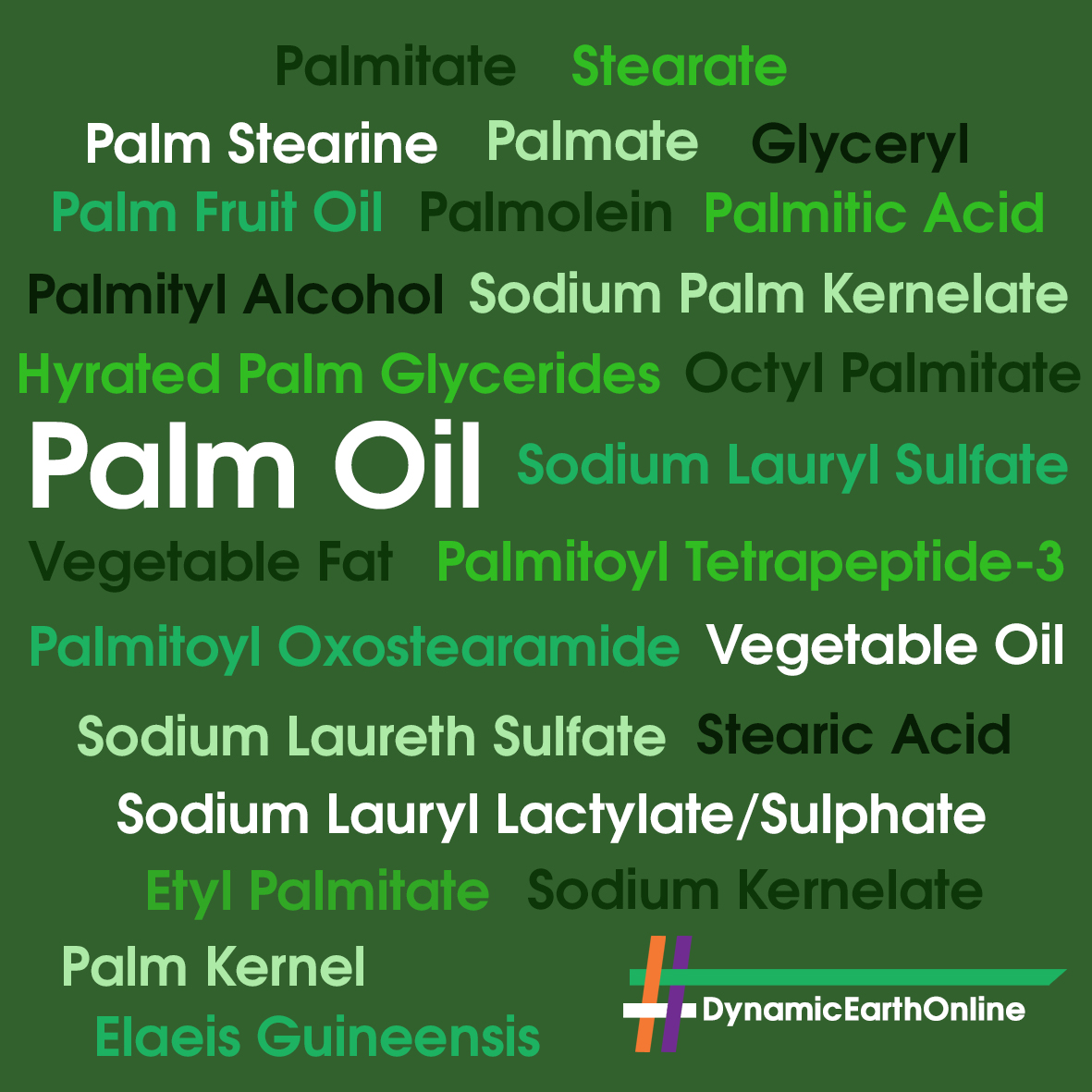 Other names for palm oil
