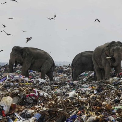 Where There’s Smoke There’s Fire: Let’s Sort the Plastic Menace
