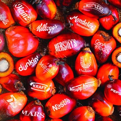 Brands using deforestation palm oil