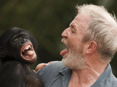 Dr George McGavin joking with a bonobo while filming Monkey Planet for the BBC