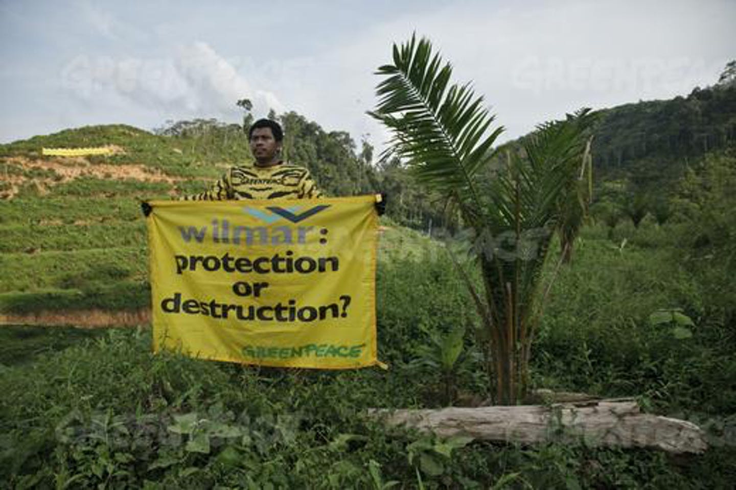Wilmar responsible for palm oil deforestation despite supposedly using "sustainable" palm oil.