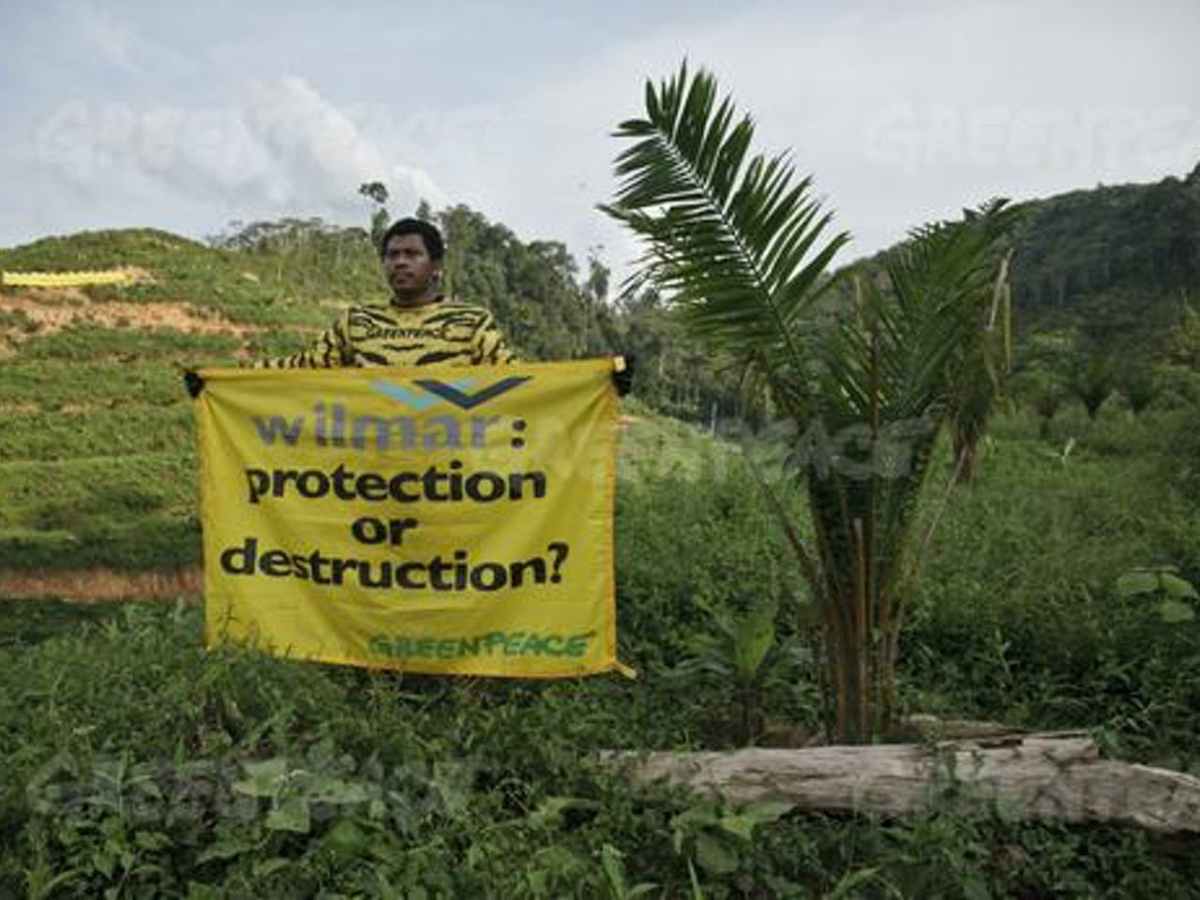 Organized crime is a top driver of global deforestation – along with beef, soy, palm oil and wood products