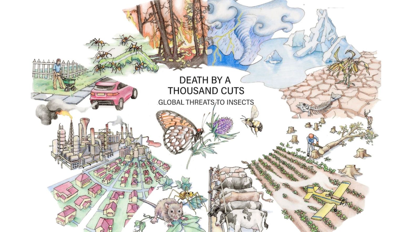 nsect decline in the Anthropocene: Death by a thousand cuts