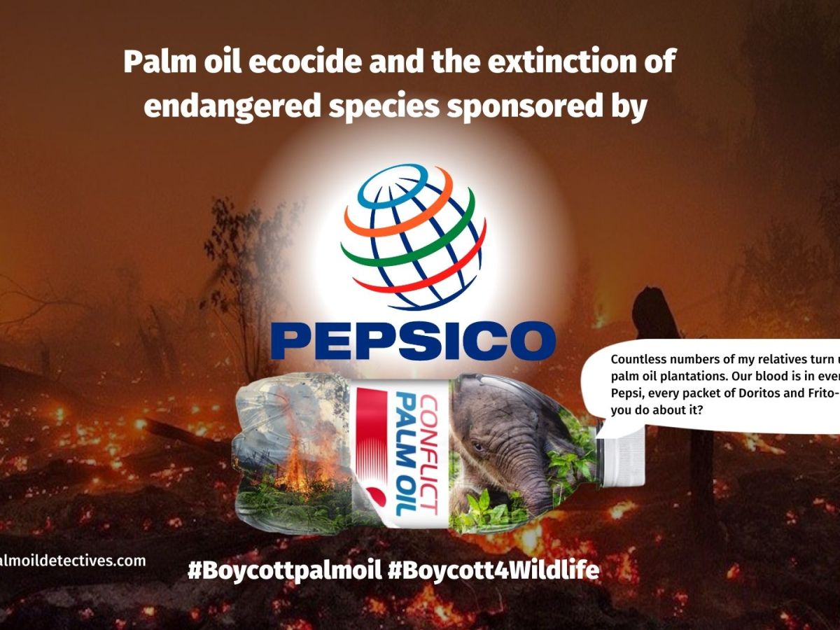 PepsiCo continue with human rights abuses and deforestation for palm oil