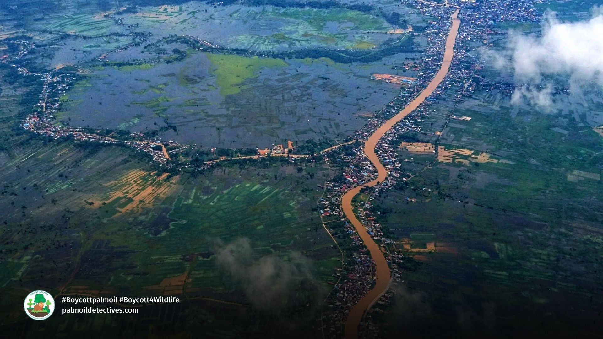Barito River -The largest river in South Kalimantan Borneo by Aditya Perdana Getty Images