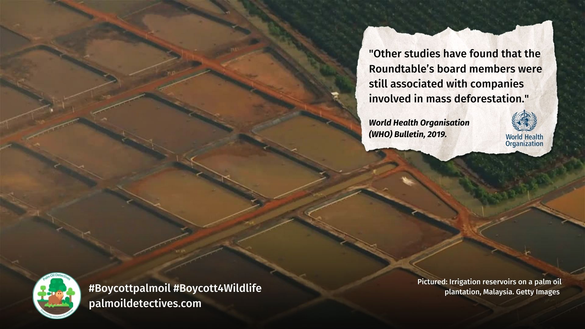 WHO Bulletin on Palm Oil: Deforestation and Extinction