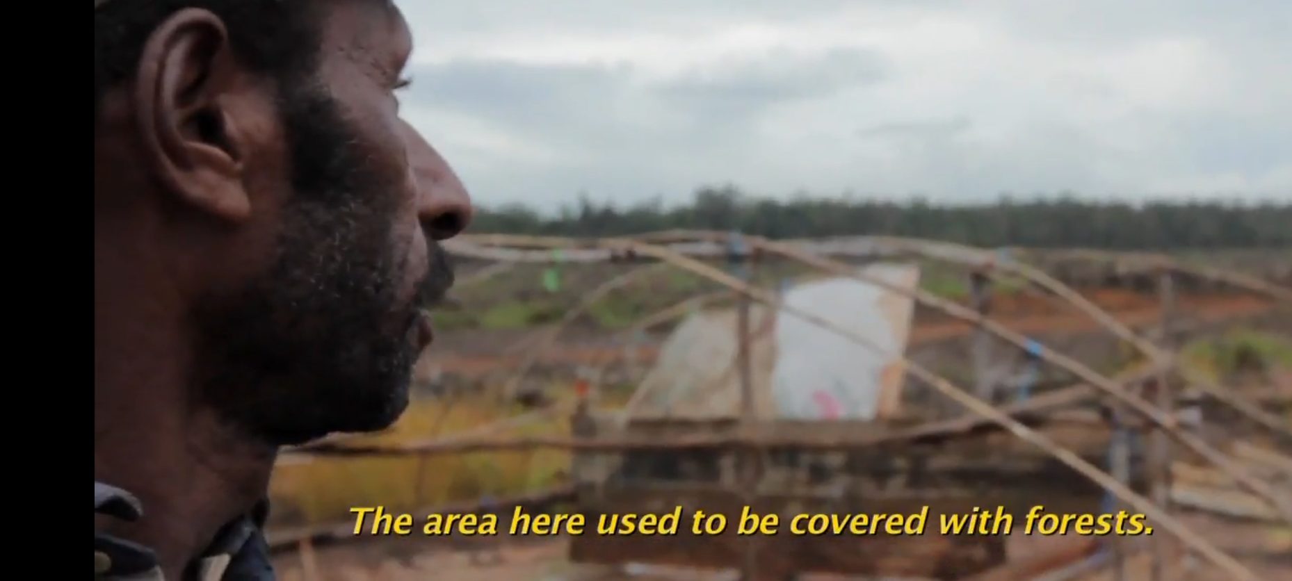 Papua New Guinea -landgrabbing for palm oil