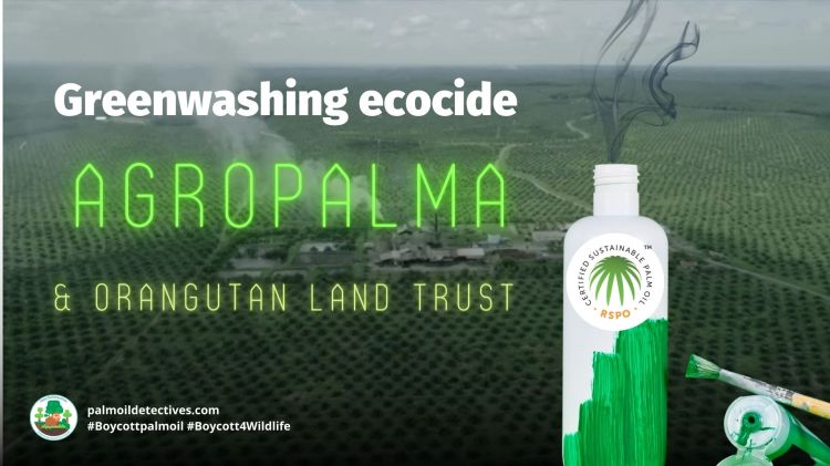 Greenwashing ecocide - Agropalma & Orangutan Land Trust 