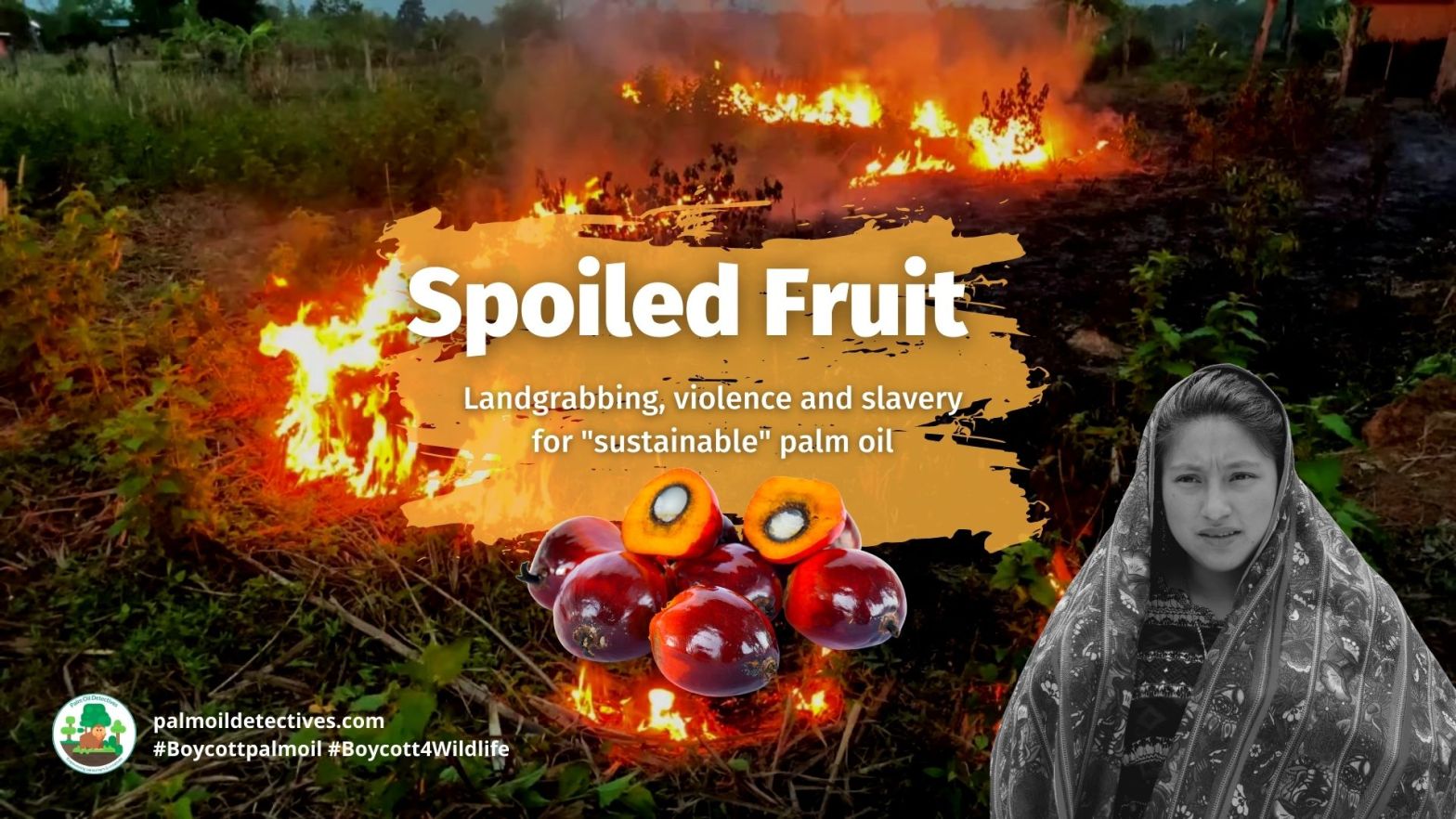 Spoiled Fruit: landgrabbing, violence and slavery for "sustainable" palm oil