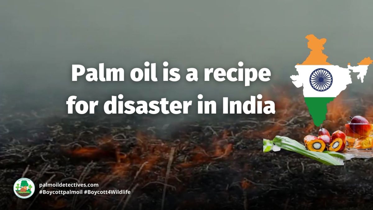 Palm Oil: A Recipe for Disaster in India