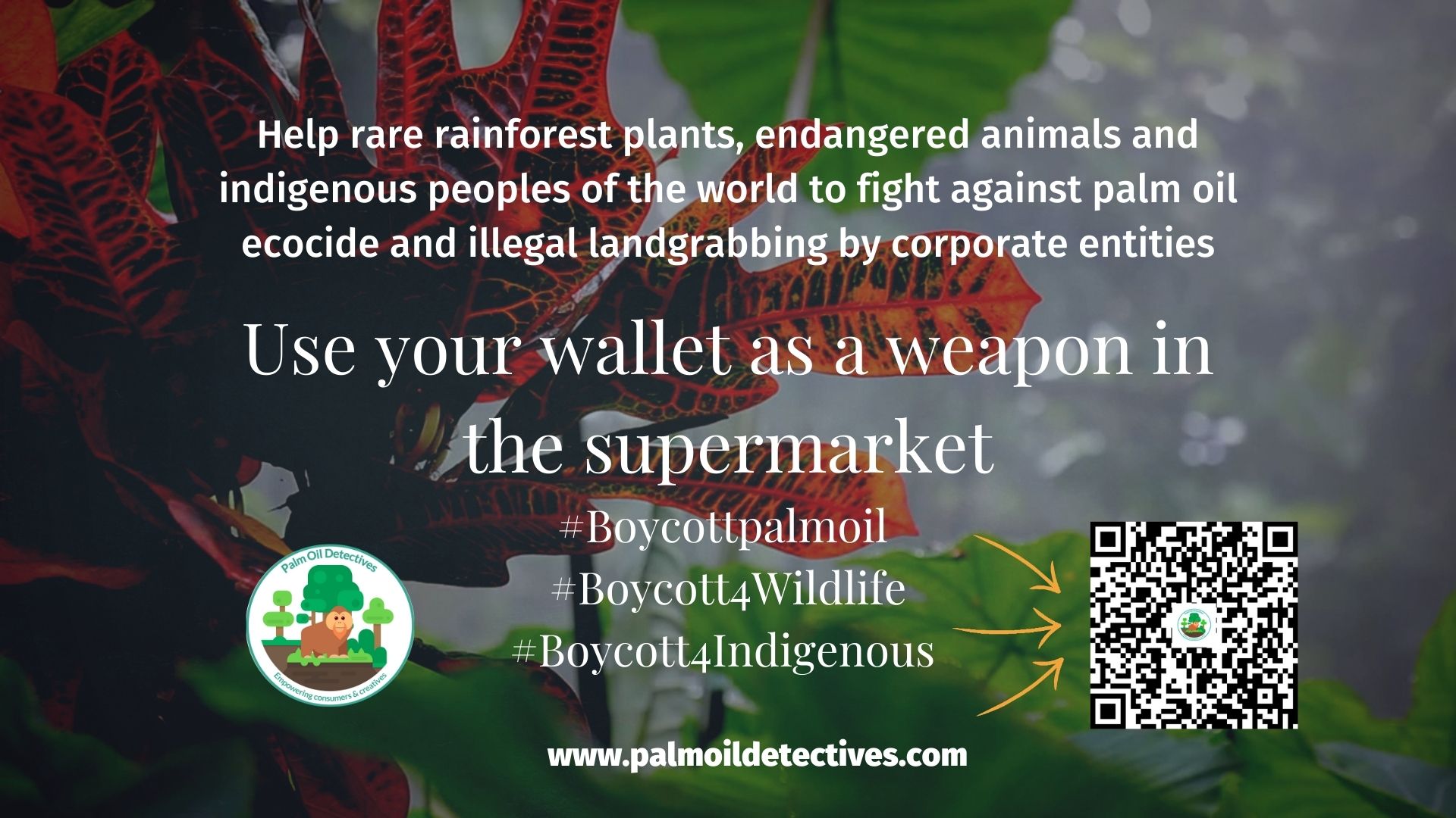 100 NGOS sign a public statement denouncing the RSPO and "sustainable" palm oil as a fake solution that does not stop deforestation