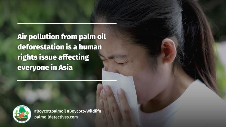 Air pollution from palm oil deforestation is a human rights issue affecting everyone in Asia