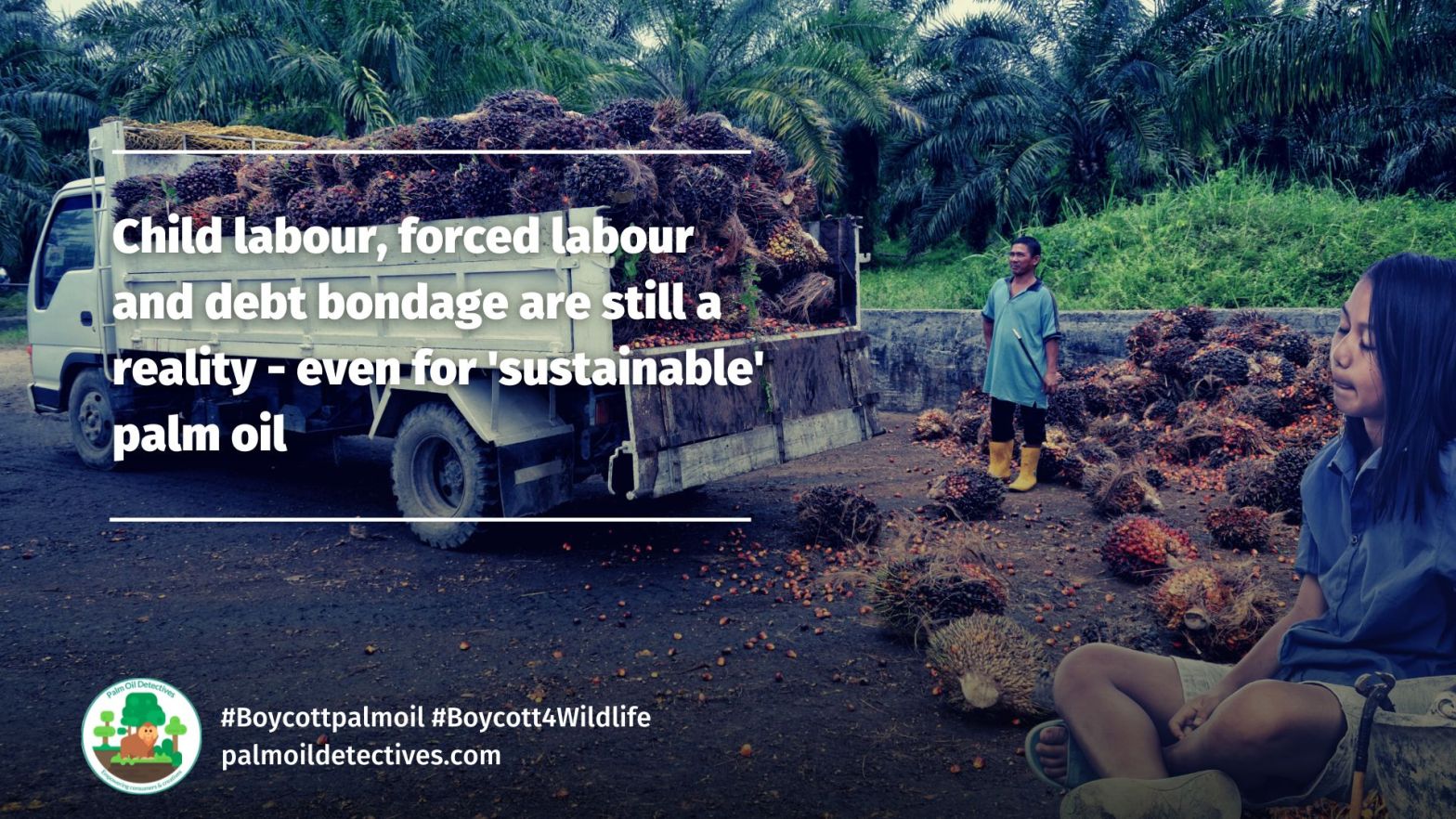 Child labour, forced labour and debt bondage are still a reality - even for 'sustainable' palm oil