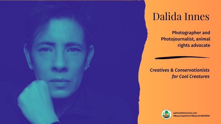 Dalida Innes: Wildlife photoj0urnalist and animal advocate