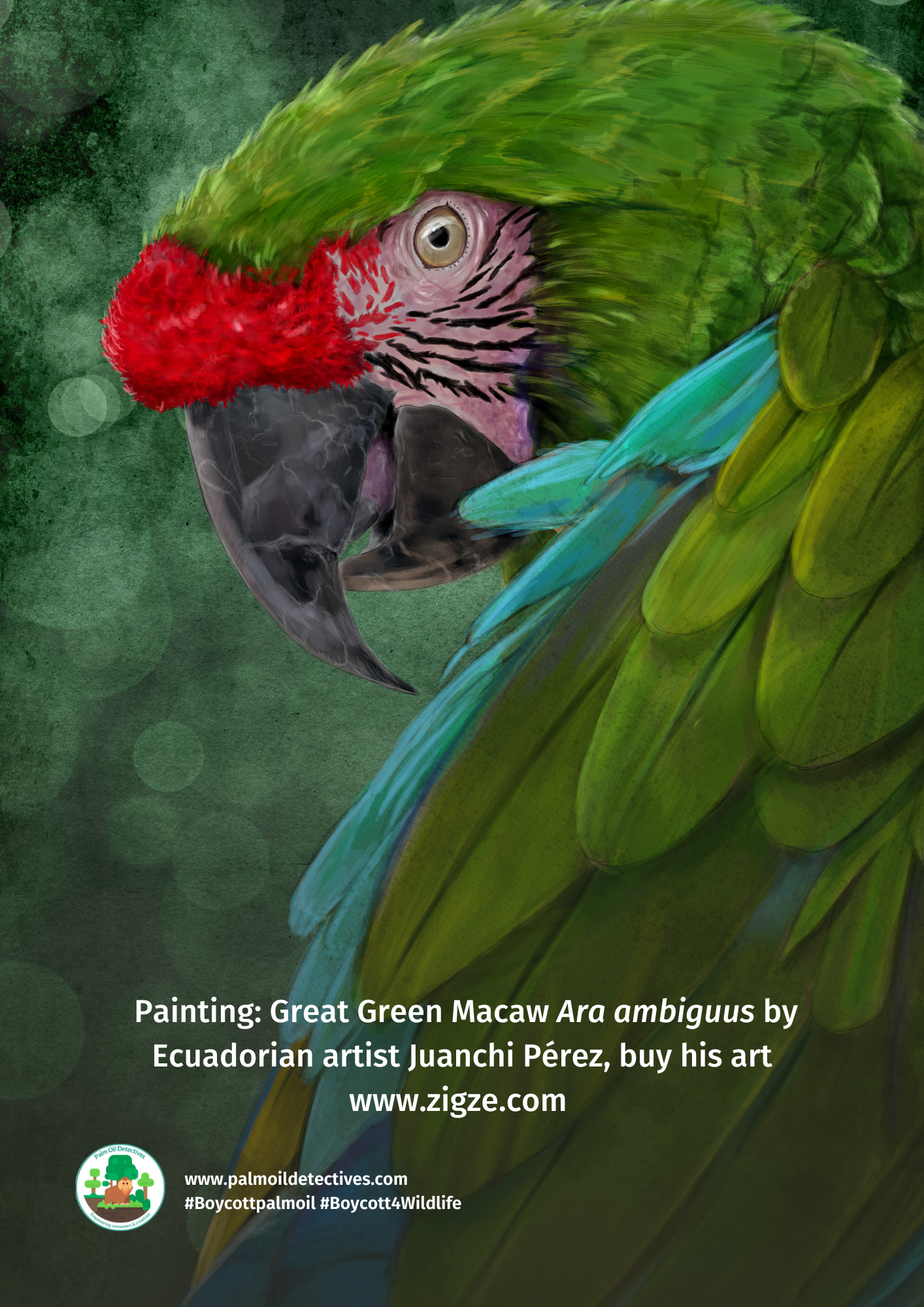 Great Green Macaw Ara ambiguus by Ecuadorian artist Juanchi Pérez portrait