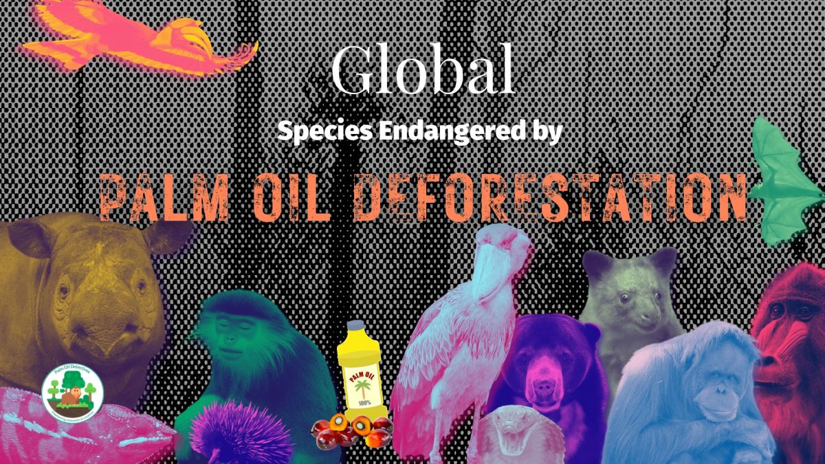 Global Species Endangered by Palm Oil Deforestation