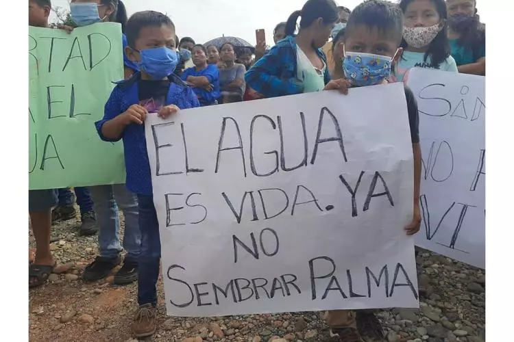 "Water is life. Stop planting oil palms". Photo: Movimiento Social Intercultural del Pueblo de Ixcán, Guatemala