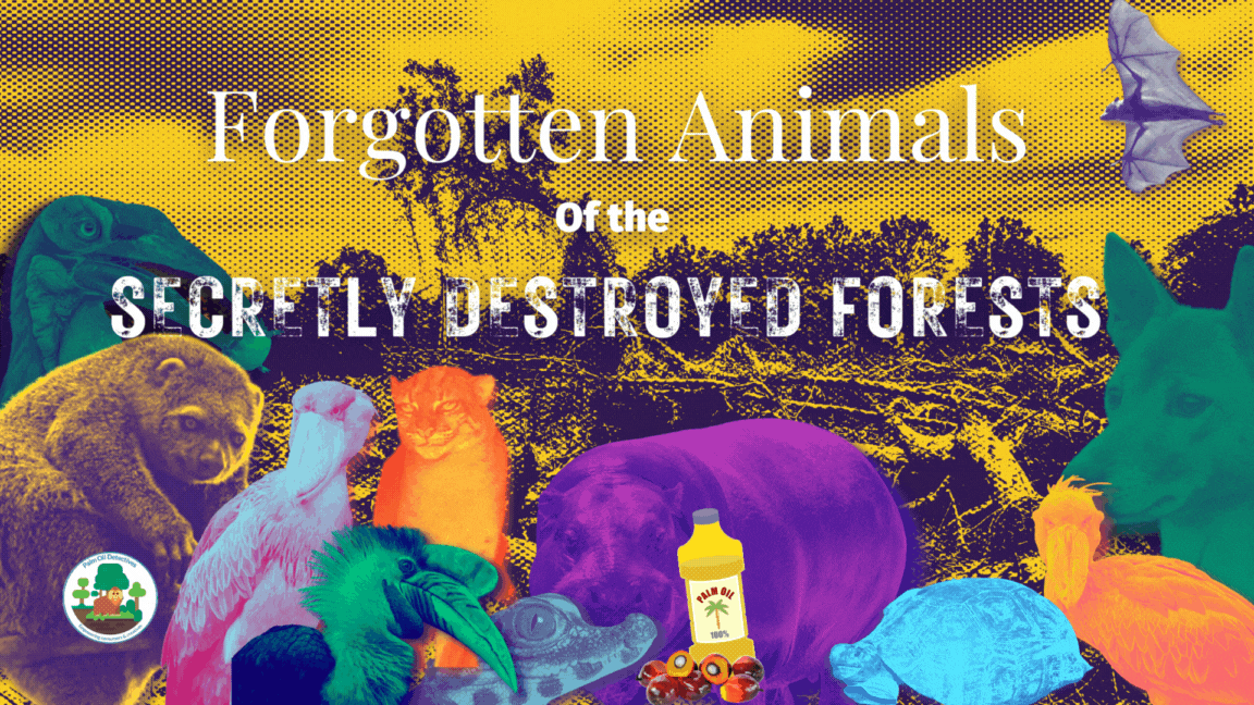 These are the forgotten animals of the secretly destroyed forests
