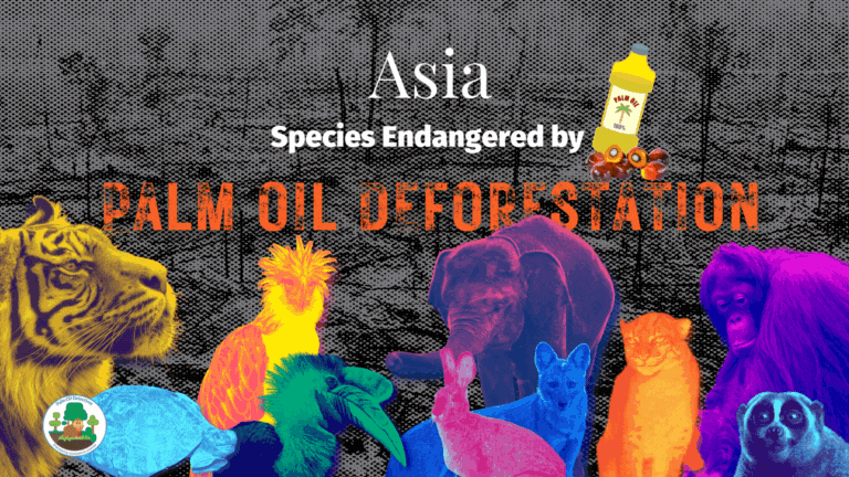 Asia: Species Endangered by Palm Oil Deforestation