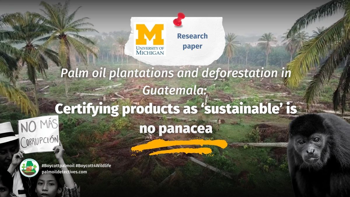 Palm oil deforestation in Guatemala: Certifying products as ‘sustainable’ is no panacea: University of Michigan