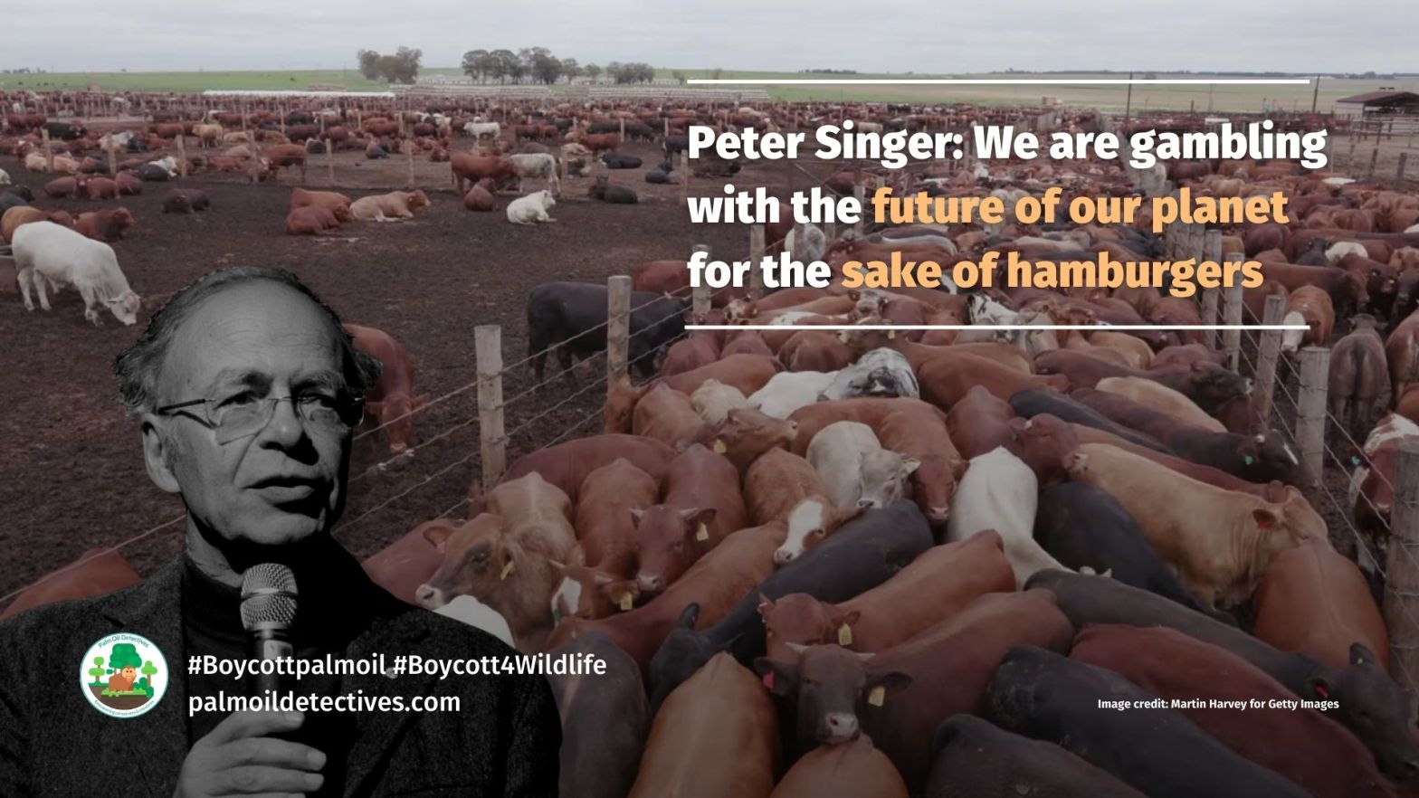 Singer - We are gambling with the future of our planet for hamburgers