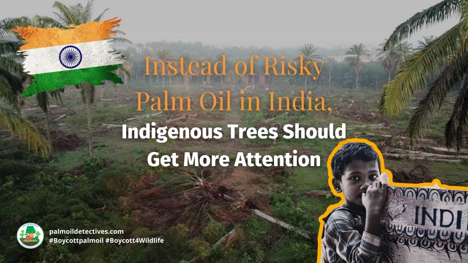 Instead of Risky Palm Oil in India, Indigenous Trees Should Get More Attention