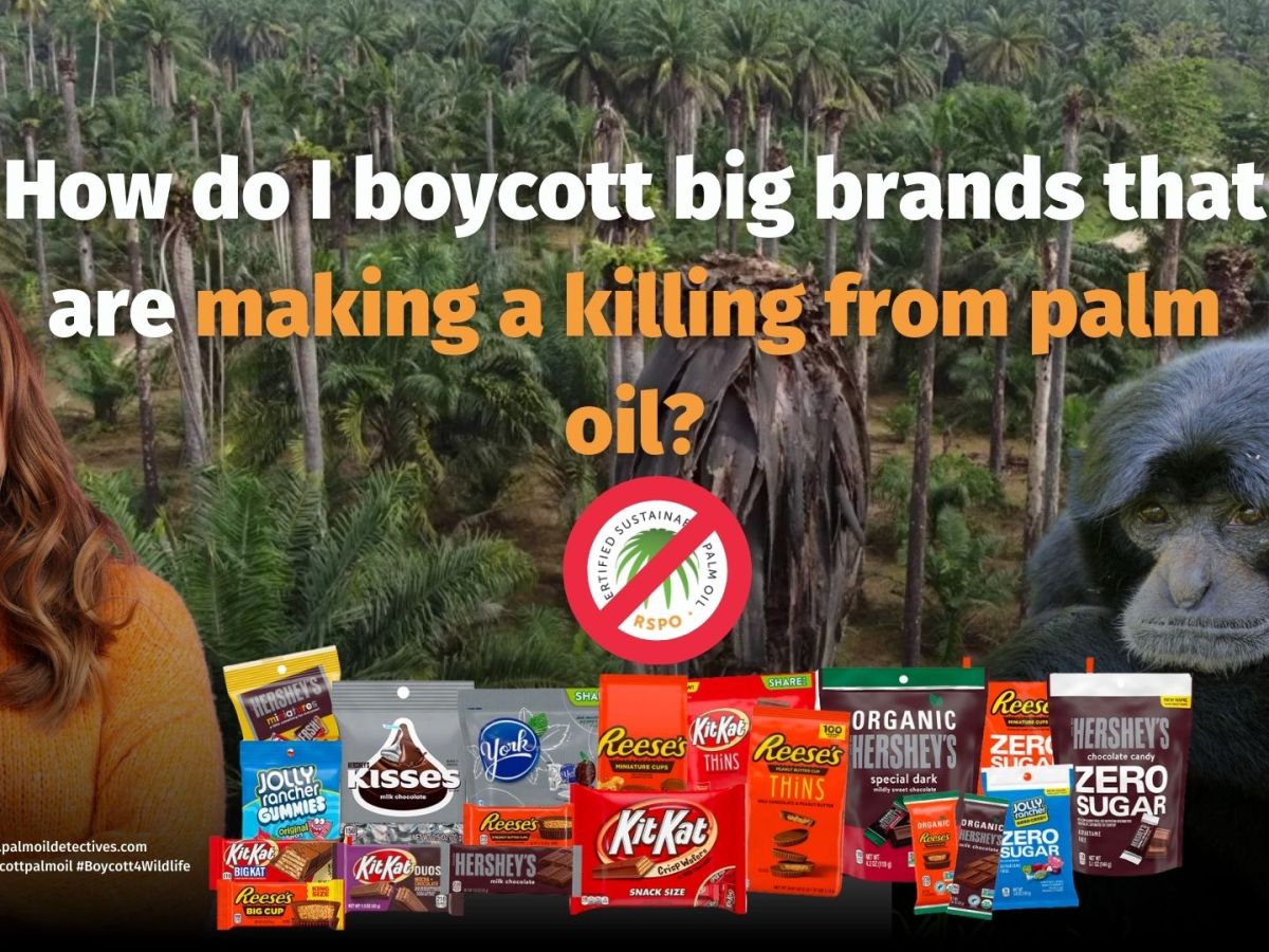Brands Using Deforestation Palm Oil in their Products