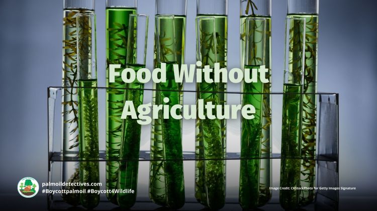 Food Without Agriculture